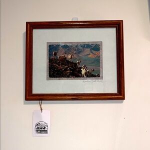 Framed Postcard Art: Alaskan Mountain Sheep